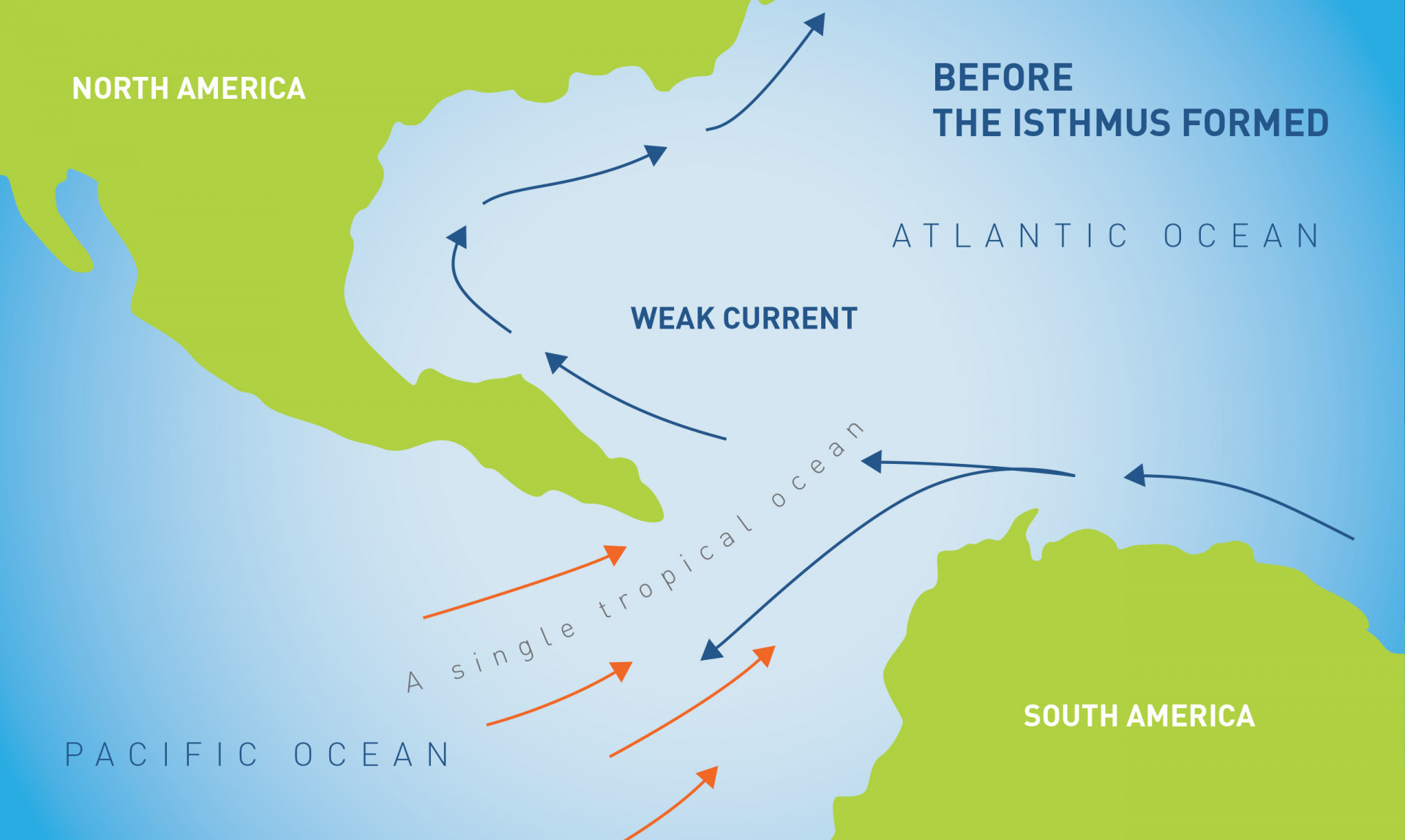 Before the Isthmus of Panama formed there was a single tropical ocean between North and South America that had relatively uniform conditions of temperature and nutrients