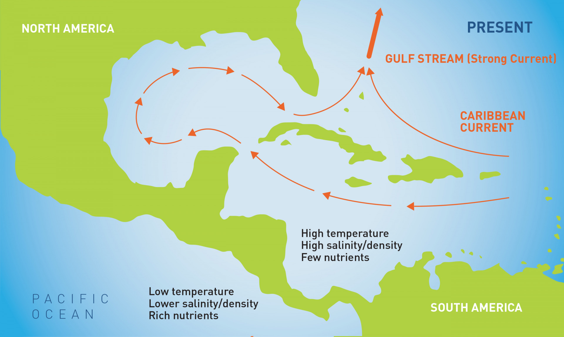 The formation of the isthmus created to radically different oceans from the one that it divided, setting in motion a perfect evolutionary experiment as organisms were forced to adapt to new environments