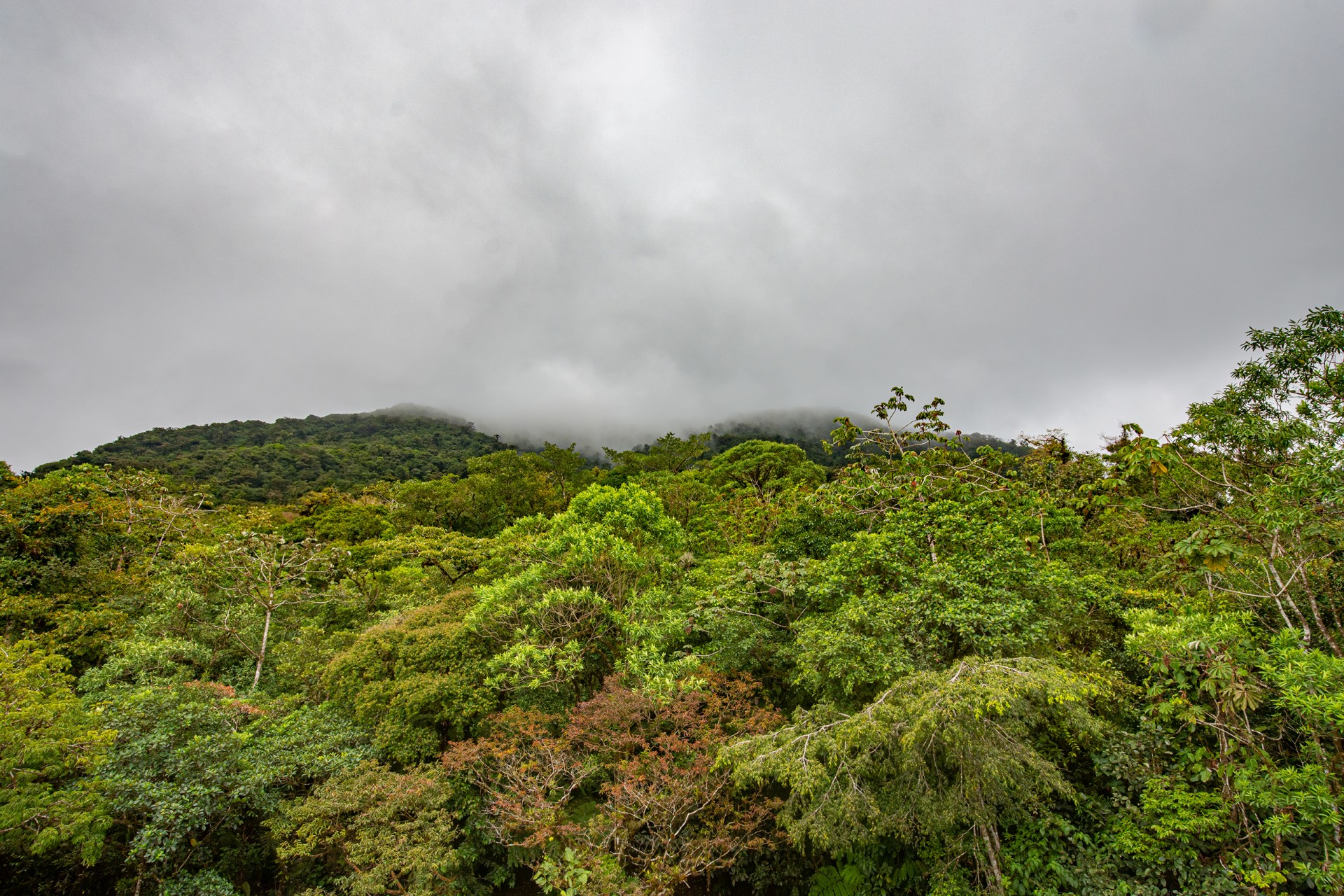 Smithsonian Tropical Research Institute