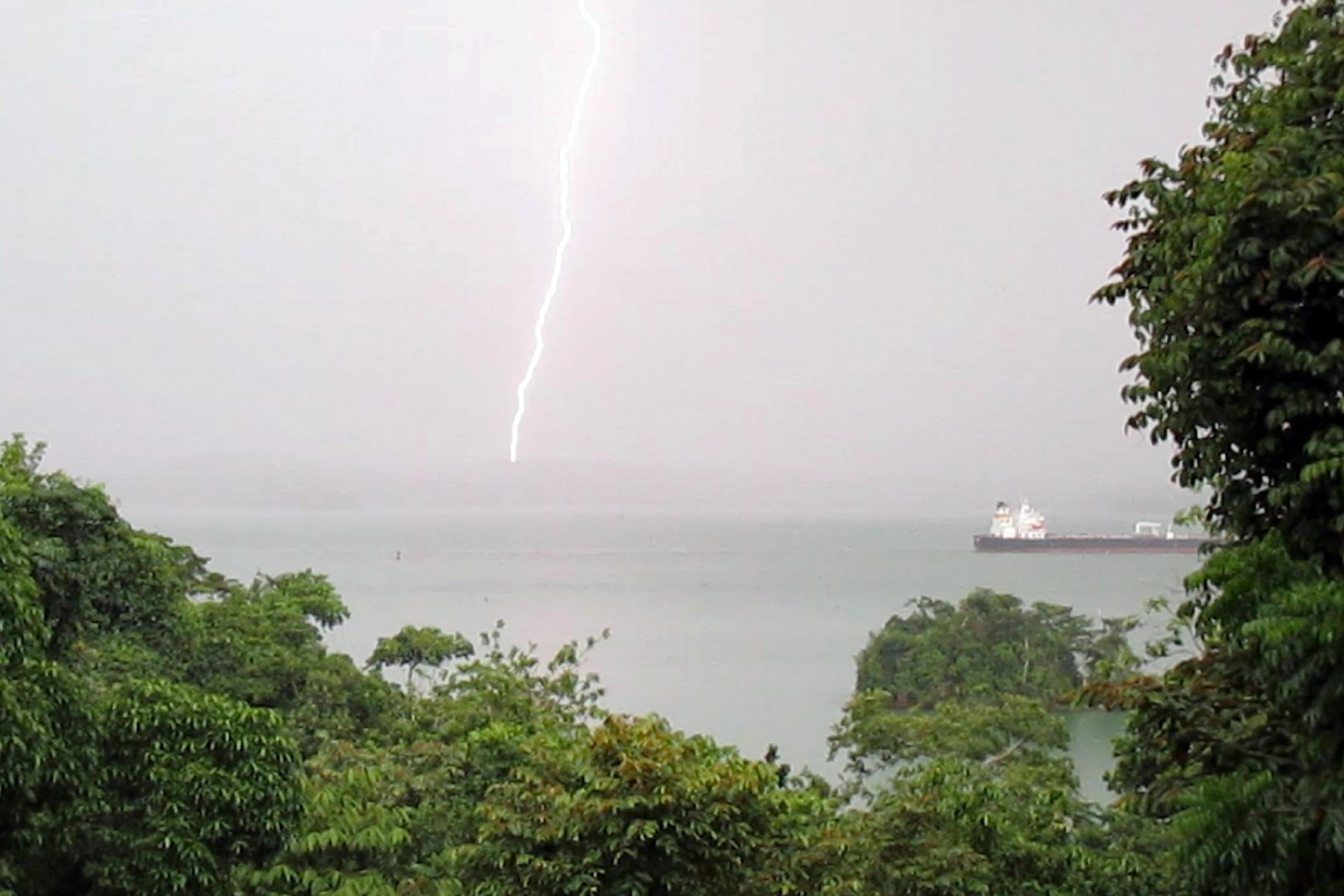 Smithsonian Tropical Research Institute