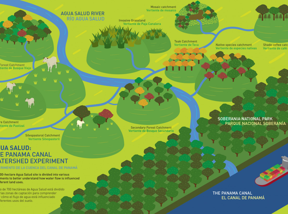 Catchments