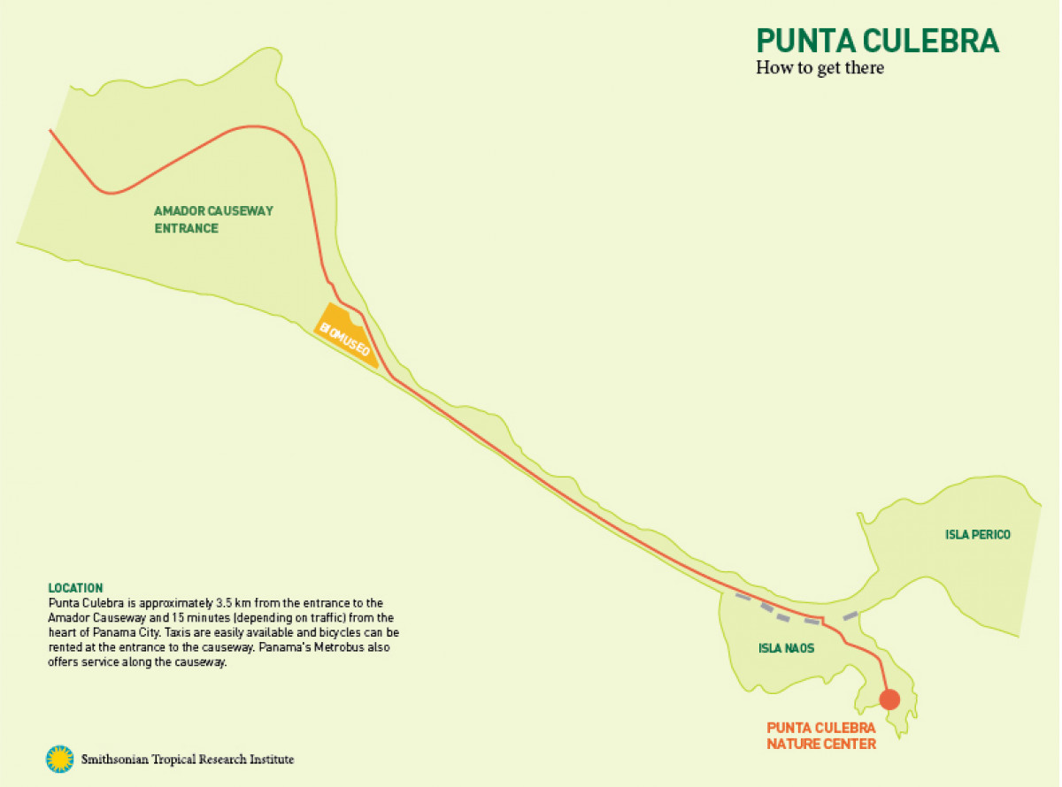 Directional map