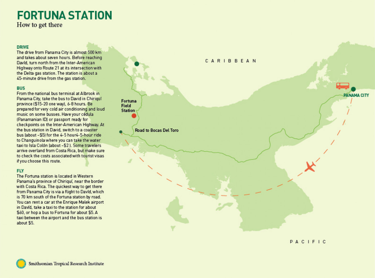 Directional map