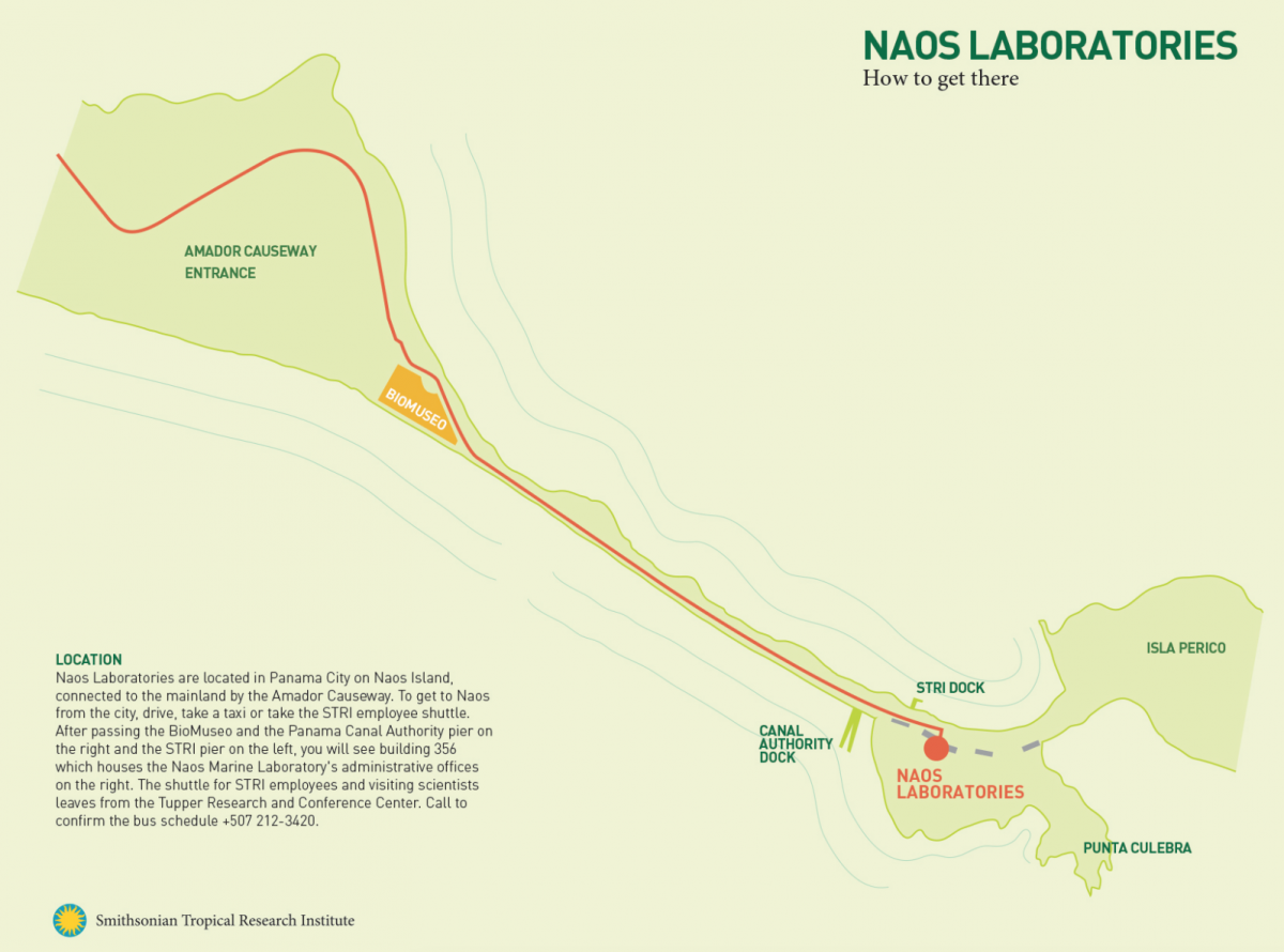 Naos Directional map