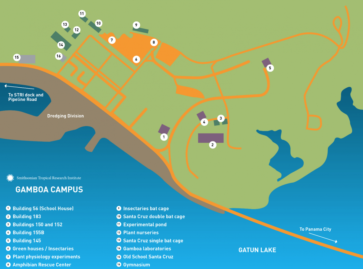 Gamboa map