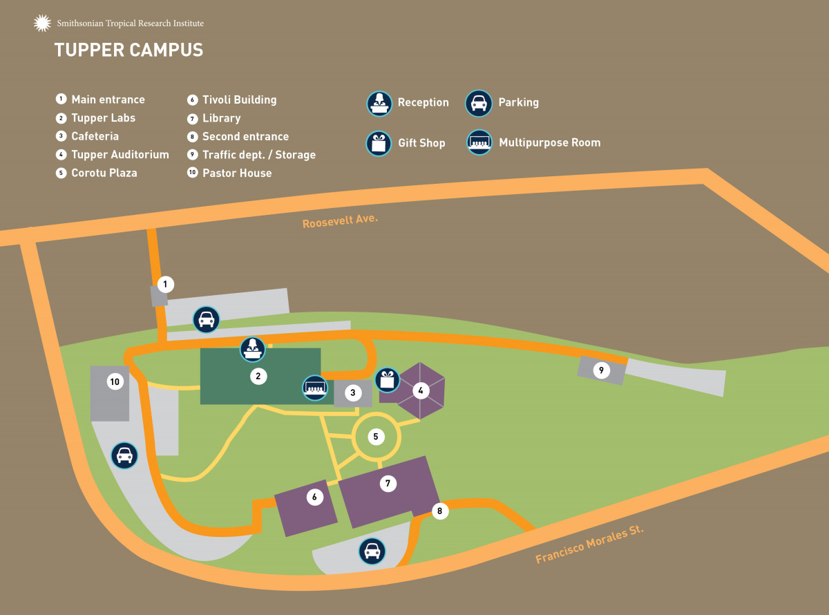Tupper Center Map