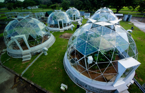 Smithsonian Tropical Research Institute (STRI)