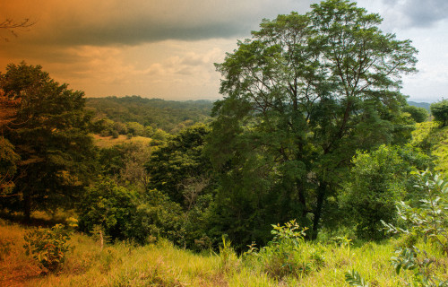 Smithsonian Tropical Research Institute (STRI)
