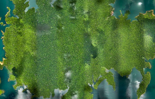 Smithsonian Tropical Research Institute