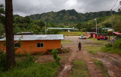 Smithsonian Tropical Research Institute