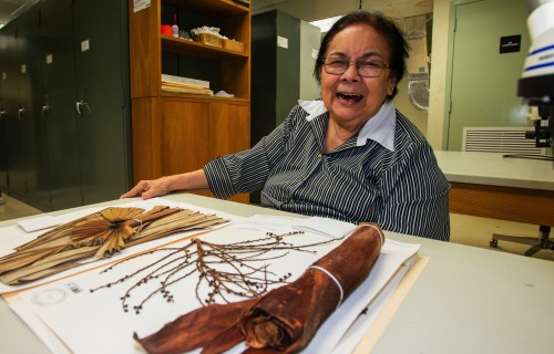 Smithsonian Tropical Research Institute