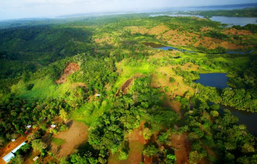 Environmental services