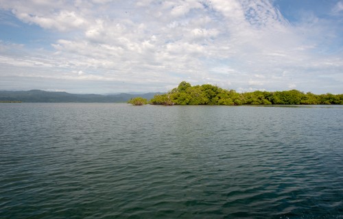 Smithsonian Tropical Research Institute