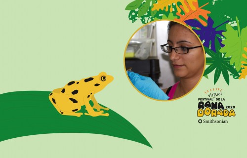 Smithsonian Tropical Research Institute