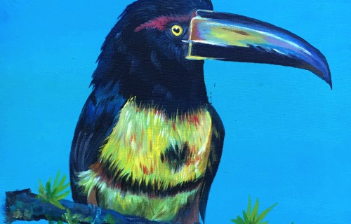 Our colorful world