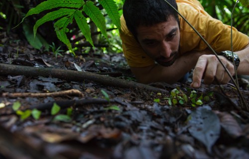 Smithsonian Tropical Research Institute