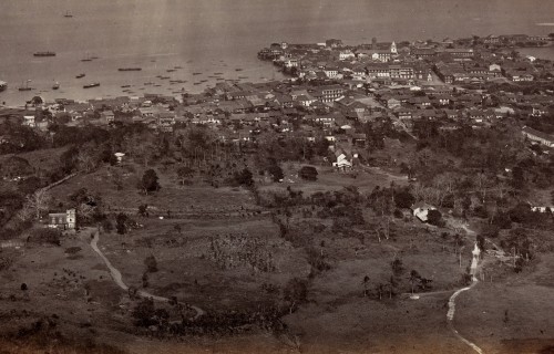 A Bee’s-Eye-View of Panama in the late 1800’s 
