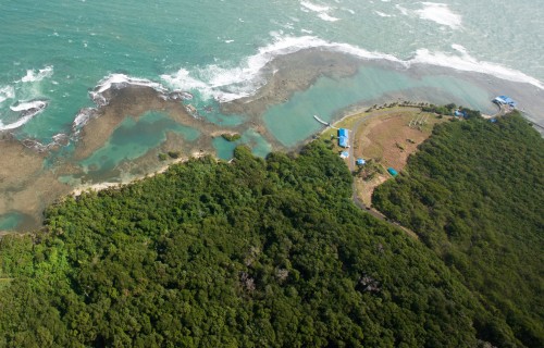 Habitat Symbiosis