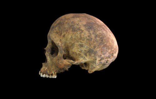 Pre-Columbian burials thumbnail