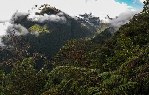 Microbes in warm soils released more carbon than those in cooler soils