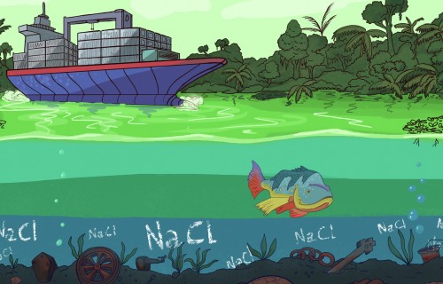 Smithsonian Tropical Research Institute