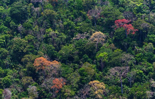 Smithsonian Tropical Research Institute