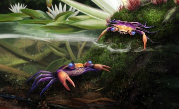 Smithsonian Tropical Research Institute