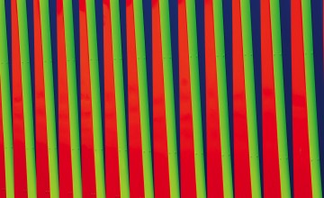 Color and Vision