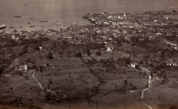 A Bee’s-Eye-View of Panama in the late 1800’s 