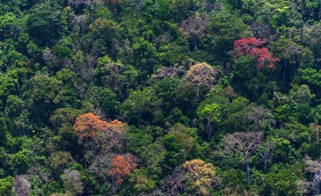 Smithsonian Tropical Research Institute