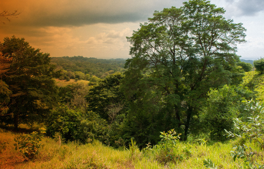 Smithsonian Tropical Research Institute (STRI)
