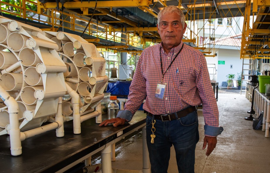 From aquarist to star inventor 