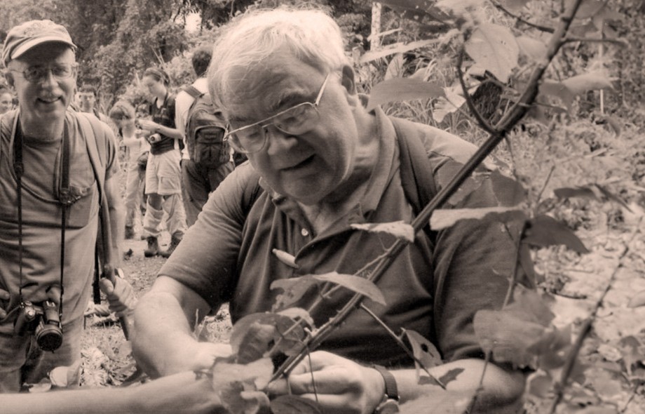 beetle expert thumbnail