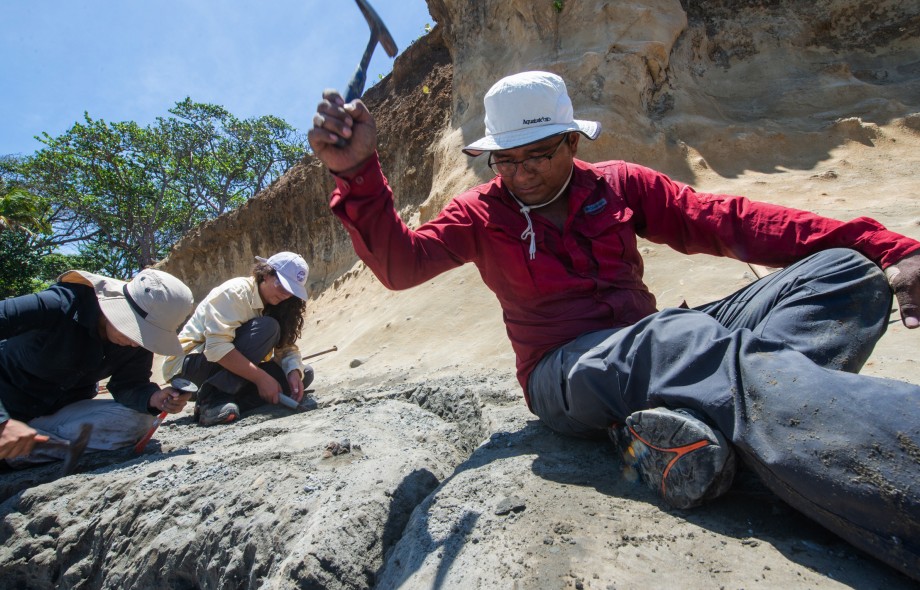 The marine fossil explorer