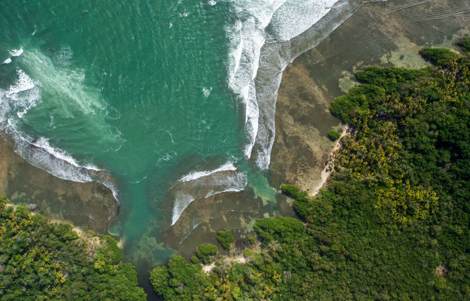 STRI Panama