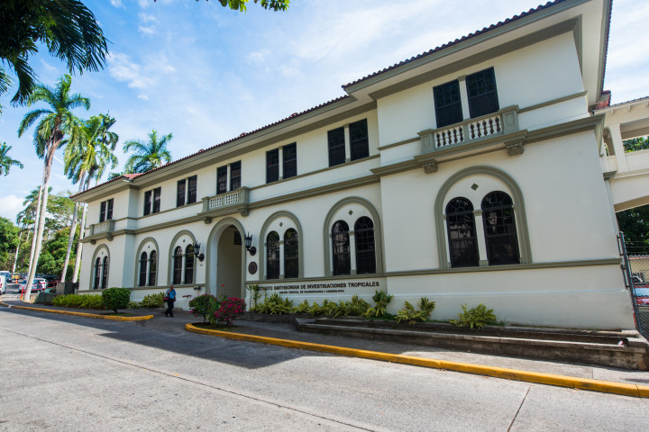 Center for Tropical Paleoecology and Archaeology
