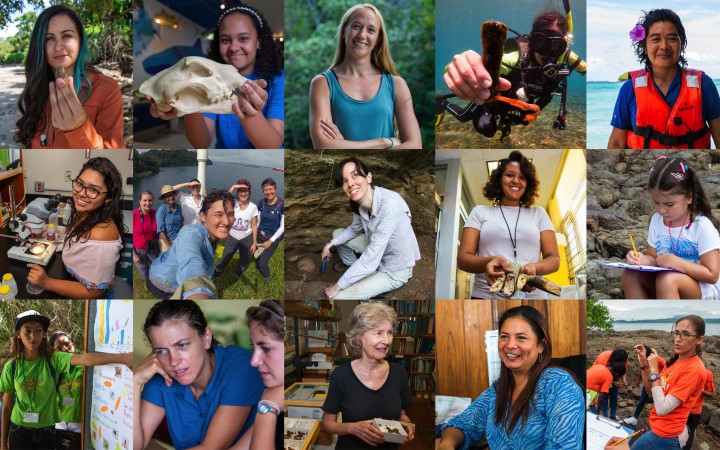 Smithsonian Tropical Research Institute