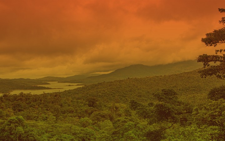 Smithsonian Tropical Research Institute