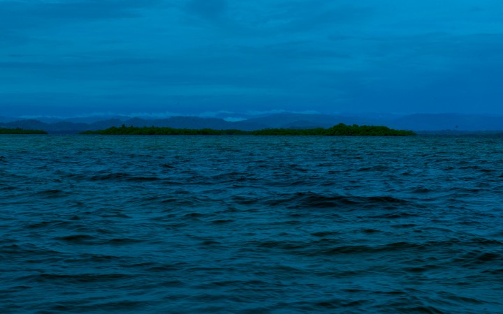 Smithsonian Tropical Research Institute