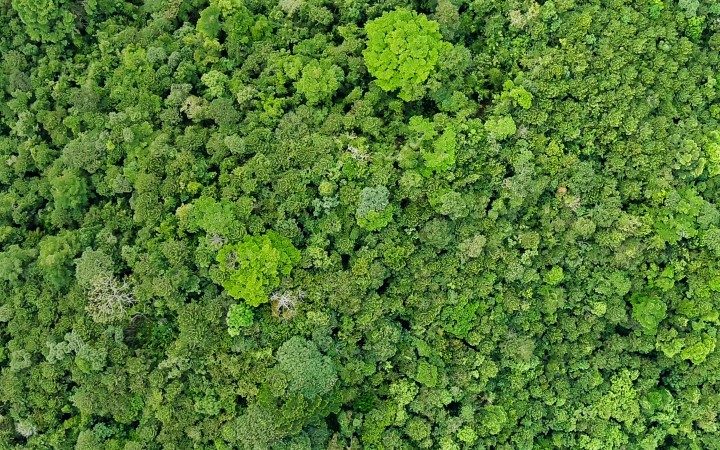 Smithsonian Tropical Research Institute
