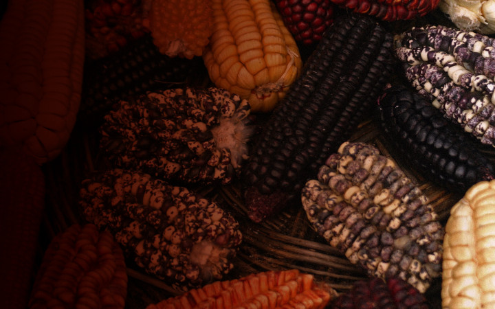 62-header