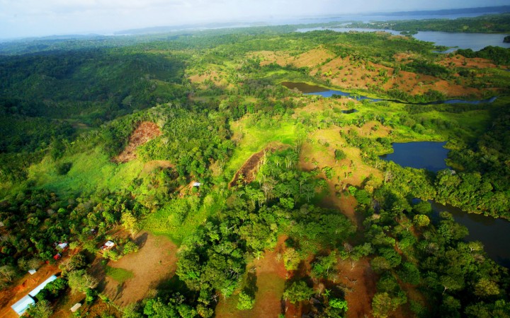 Environmental services