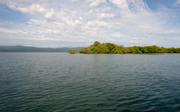 Smithsonian Tropical Research Institute