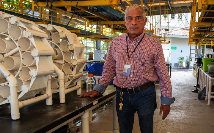 From aquarist to star inventor 