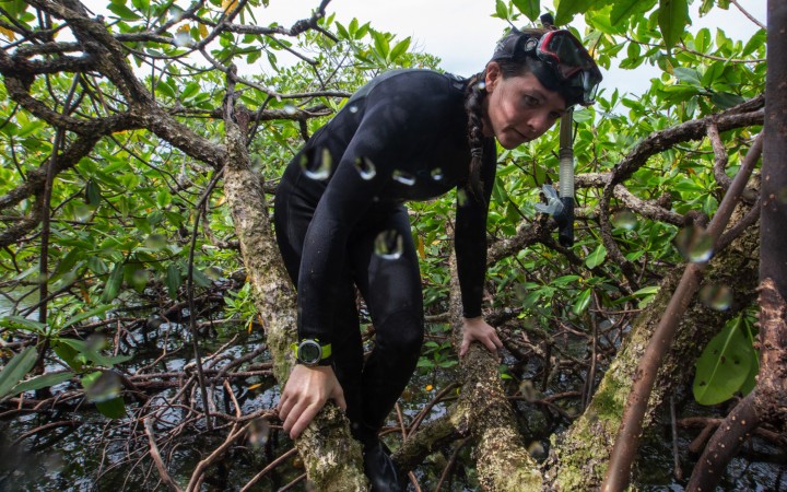 What’s lurking under the forest?