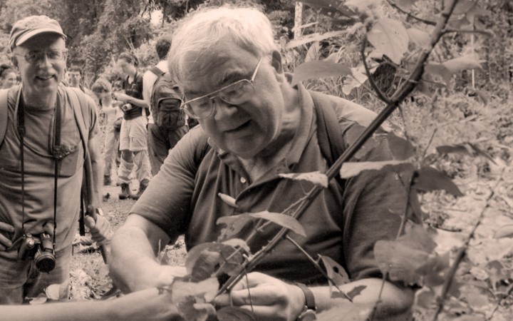 beetle expert thumbnail