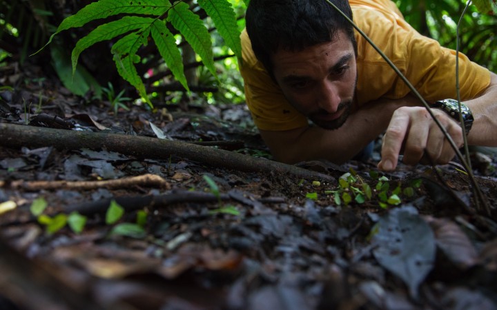 Smithsonian Tropical Research Institute