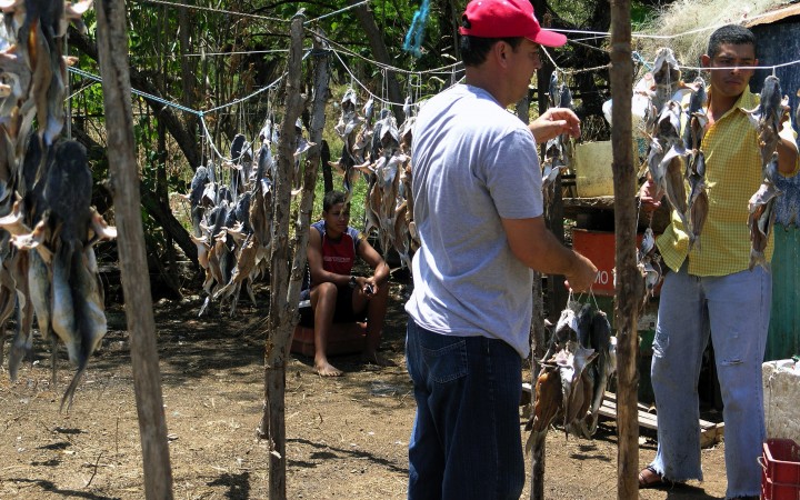 Dried fish