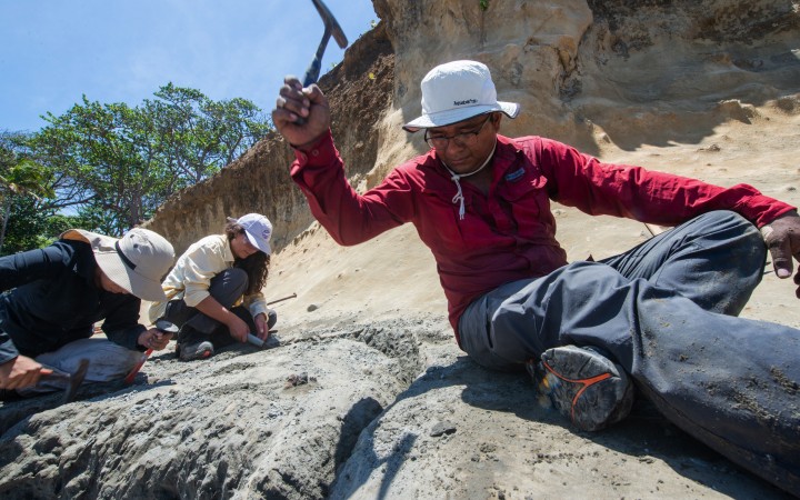 The marine fossil explorer