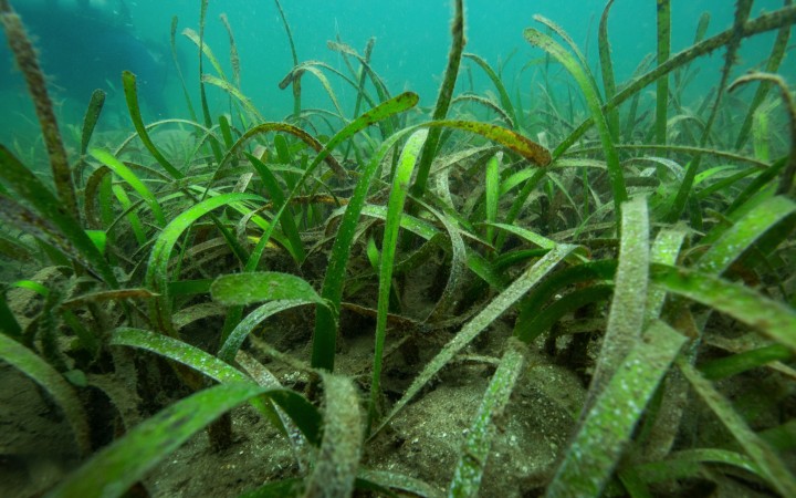 Constant change drives local ecosystems